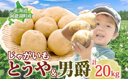 じゃがいも とうや 男爵 各10kg×1 計20kg 9月上旬〜12月中旬までお届け ジャガイモ 芋 甘い なめらか しっとり ポタージュ カレー 調理 料理 煮込み料理 旬 季節 農作物 野菜 根菜 北海道 とうや湖農業協同組合