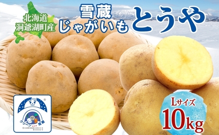 雪蔵じゃがいも 10kg とうやLサイズ 2026年3月上旬〜3月末までお届け ジャガイモ 芋 甘い なめらか しっとり カレー 調理 料理 煮込み料理 雪蔵 旬 季節 農作物 野菜 根菜 北海道 とうや湖農業協同組合