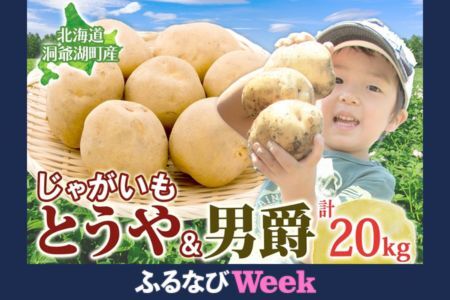 [ふるなびWEEK対象]じゃがいも2種セット 計20kg とうや 男爵 2025年9月上旬〜12月中旬までお届け FN-Limited ジャガイモ 芋 甘い ホクホク ポテト カレー 調理 料理 煮込み料理 旬 野菜 お取り寄せ 北海道 洞爺湖町