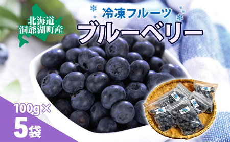 役に立ちます 冷凍カット果物 ブルーベリー100g×5袋 9月初旬よりお届け 冷凍 カット 果物 小分け 時短 弁当 簡単 調理 便利 国産 北海道 洞爺湖町