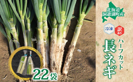 [大容量]役に立ちます 冷凍カット野菜 長ねぎ 訳あり 長ねぎ11本分(1/2本×22袋相当) 長ネギ 冷凍 カット 野菜 小分け 時短 弁当 簡単 調理 便利 国産 北海道 洞爺湖町