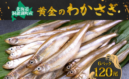 ΒY ̂킩 20×6P v120 kCY JTM 킩 싛  Yn Ⓚ  O  VՂ tC Ƃ}VF kC Β