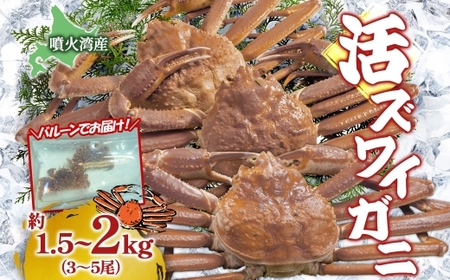 北海道 噴火湾産 活ズワイガニ 約1.5〜2kg (3〜5尾) 2025年11月10日まで発送 北海道産 旬 新鮮 ずわいがに ズワイガニ かに カニ 蟹 カニ味噌 天然 噴火湾 産地直送 お取り寄せ 贈答 冷蔵 洞爺湖町