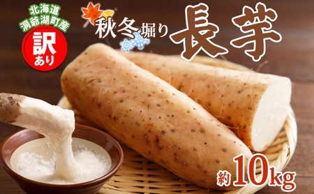 ΒY 󂠂  10kg 2025N12{珇͂  Y kCY A ƒp s Ƃ R Xe[L H    { kC Β