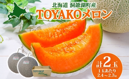TOYAKO������ 2�� �v4.8kg�`5.4kg 2026�N9�����{�`10�����{���͂� �k�C���Y ������ ���b�h113 ���x14�x�ȏ� �ԓ� �t���[�c �ʕ� �{ �f�U�[�g ���Y ���蕨 �퉷 �����_�� �k�C�� ����Β�
