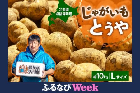 [ふるなびWEEK対象]北海道産 青野農園 じゃがいも とうや Lサイズ 約10kg 2026年10月初旬〜12月下旬頃お届け 先行予約 北海道 ジャガイモ トウヤ 馬鈴薯 ポテト 芋 いも イモ 黄色 旬 野菜 農作物 産地直送 お取り寄せ 国産