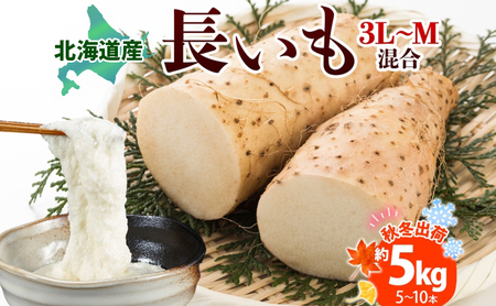 北海道産 長いも 秋冬出荷 約5kg 2025年11月中旬〜2026年3月下旬お届け 長芋 ながいも とろろ 農作物 野菜 新鮮 根菜 新物 山かけ 産地直送 お取り寄せ 送料無料 冷蔵 北海道 洞爺湖町