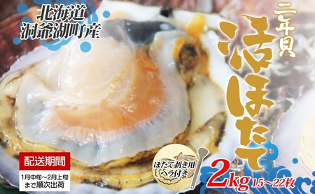北海道産 活ほたて 2年貝 約 2kg 15枚〜22枚 2026年1月中旬〜2月上旬頃お届け 殻付き 貝付き 帆立 ホタテ ほたて 貝 魚介 海産 海鮮 貝柱 噴火湾 刺身 焼き フライ 生産者支援 産地直送 送料無料 魚介類 魚貝類