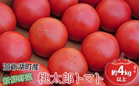 洞爺湖の新鮮野菜「桃太郎トマト」約4kg以上(24〜18玉) ※6月末頃より順次出荷