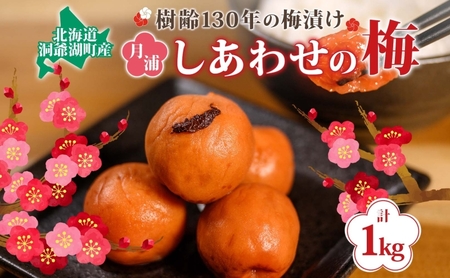 北海道・樹齢130年の梅漬け「しあわせの梅」1kg(200g×5個)