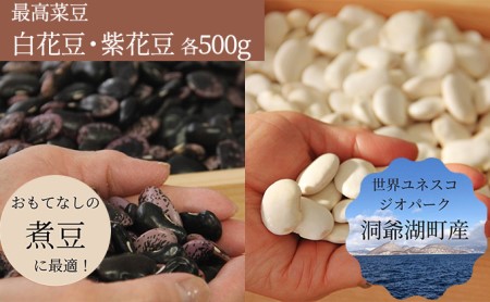 北海道・洞爺湖町産 高級菜豆の白花豆と紫花豆　各500g×1袋　計1kg