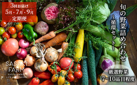[3回お届け 5月・7月・9月 定期便][自然栽培]佐々木ファーム 旬の野菜詰め合わせ 〜循環セット〜 厳選野菜7-10品目程度 先行予約 やさい 直送 北海道 洞爺湖町 野菜の詰め合わせ 北海道産