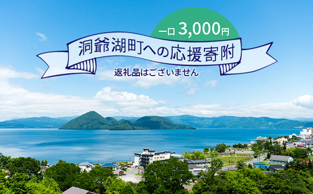 洞爺湖町 寄附のみの応援受付 3,000円コース(返礼品なし 寄附のみ 3000円)