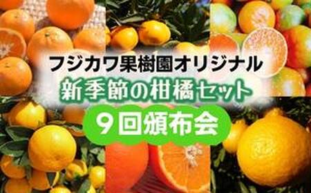 [9回頒布会]フジカワ果樹園オリジナル・新季節の柑橘セット