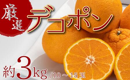 厳選!ぷりっぷり果肉♪濃厚甘味「デコポン」 約3kg