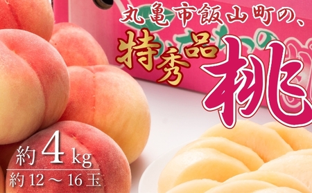 ���G�i�I�ۋT�s�юR�́u���v��4kg  �ʕ� �t���[�c �f�U�[�g �����Ղ� �ʏ` �Â� �������� �V�� ���ɂ�