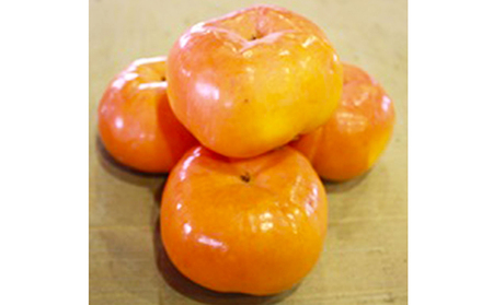 一足早く味わえる甘柿 早秋柿(そうしゅうがき) 果物類