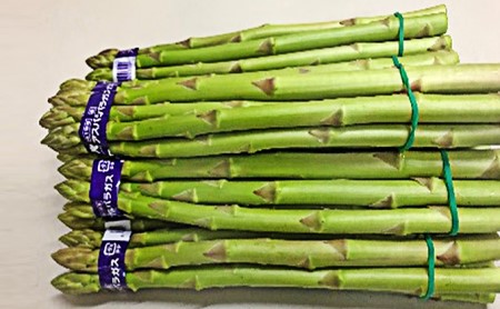 香川県オリジナルアスパラガス「さぬきのめざめ」春芽　約1kg 野菜 