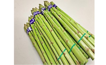 香川県オリジナルアスパラガス「さぬきのめざめ」春芽　約1.5kg 野菜 