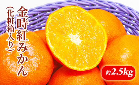 金時紅みかん 化粧箱(約2.5kg)_みかん 果物類 柑橘類 フルーツ ミカン 蜜柑 くだもの