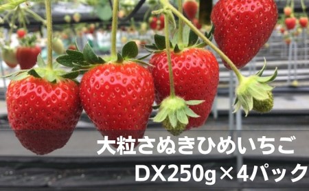 嗱ʂЂ߂@DX250g×4pbN t[c ʕ  C`S