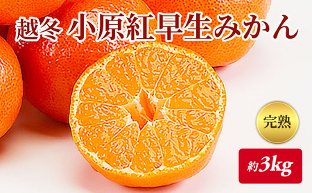 nI z~ g݂@3kg t[c ʕ k