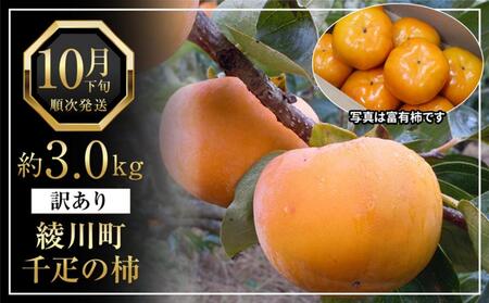 SłLȁu쒬YD̊`v󂠂TCY 3.0kg ʕ t[c H H̖o  fU[g H Yi ʎ 쌧Y Yn Y {