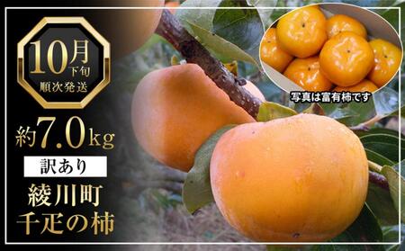 SłLȁu쒬YD̊`v󂠂TCY 7.0kg ʕ t[c H H̖o  fU[g H Yi ʎ 쌧Y Yn Y {