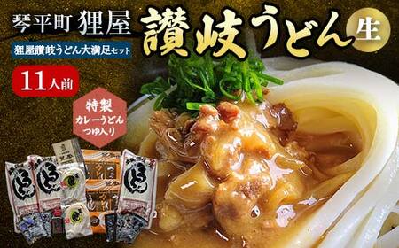 特製カレーうどんつゆ入り 狸屋讃岐うどん大満足セット11人前 4種のつゆ付き 詰合せ 生うどん カレー つゆ うどん 本場 讃岐 讃岐うどん さぬきうどん ご当地 グルメ 名産品 食品 四国 F5J-202