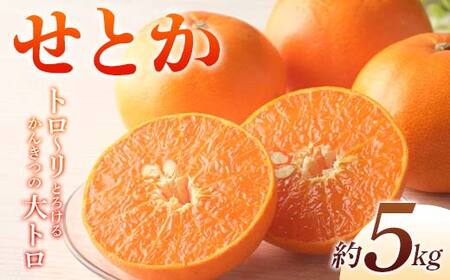 ys\zs2026N2{`3{͂t ݂ Ƃ 5kg g`Ƃ낯邩񂫂̑g k n ݂ ~J ʕ t[c  Y Ƃ t[c { ʕ 