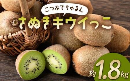 ys\zs2025N11{`12{͂t Ԃł ʂLEC 1.8kg x 17`20x TCY  l t[c ʕ  LEC LEC ʎ t[c {