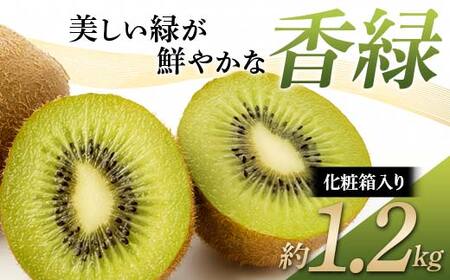 ys\zs2025N11{`12{͂t LEC ΂N₩  傭 ϔ1.2kg Y  ʕ LEC L[C t[c {  쌧 쌧ʕԗi F5J-540