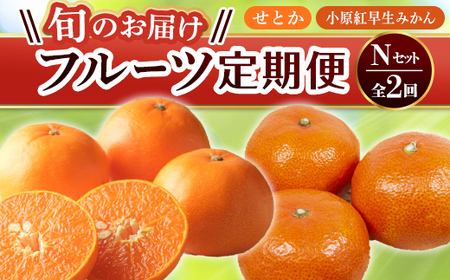 【旬のお届け フルーツ定期便 2回】Nセット せとか 約5.0kg 小原紅早生みかん 約4.5kg みかん 旬 フルーツ 果物 国産 香川県 F5J-792
