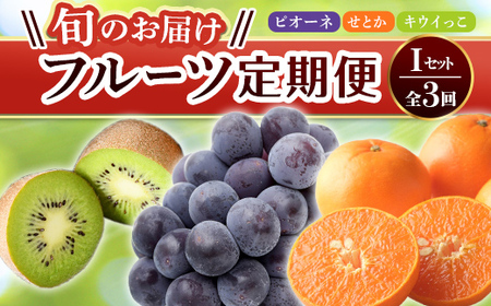 [旬のお届け フルーツ定期便 3回]Iセット ピオーネ 約1.2kg せとか 約5.0kg キウイっこ 約1.8kg 旬 フルーツ 果物 国産 香川県 F5J-801