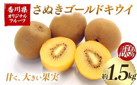 ys\2025N10`2025N12͂z 󂠂肳ʂS[hLEC (1.5kg) t[c ʕ  S[h LEC LECt[c ʂ S[hLEC fU[g Hi Y l 1