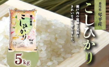 ߘa7NxY V 쌧ՕYRVqJ 5kg s2TԈȓɔt  uh Y Ђ RVqJ    CX Mtg 蕨 l F5J-1075