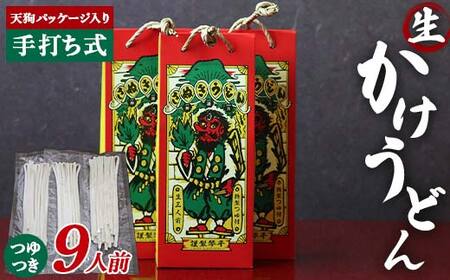 天狗パッケージ入り [かけうどん9人前] うどん 麺 麺類 加工品 食品 F5J-966