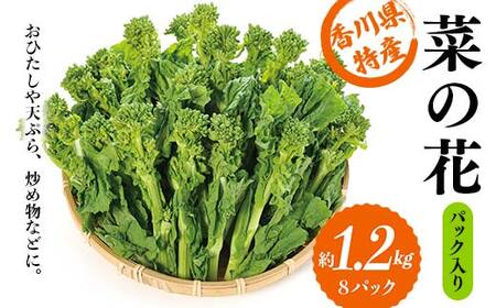 [先行予約2025年12月〜2026年3月頃お届け] 菜の花 パック入り 約1.2kg (8パック) なの花 菜の花 おひたし 天ぷら 炒め物 春 野菜 食品 名産 四国 F5J-924