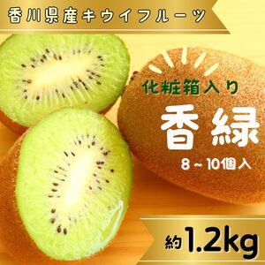 香緑(キウイフルーツ)1.2kg 8〜10個 化粧箱入り[予約受付中!令和6年11月中旬頃より発送!]