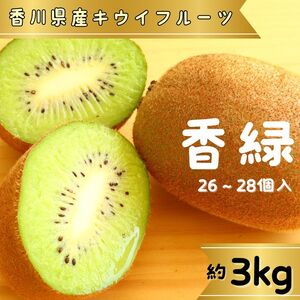 香緑(キウイフルーツ)3.0kg 26〜28個[予約受付中!令和6年11月中旬頃より発送!]