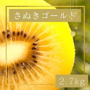 さぬきゴールド キウイフルーツ2.7kg[予約受付中!令和7年10月中旬頃より発送!][B-60]