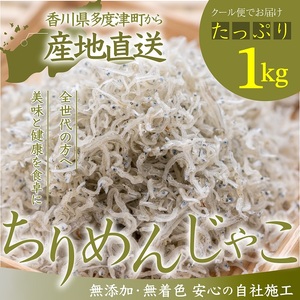 ˓쌧Y ߂ 1kgyA-133z