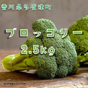 ブロッコリー約2.5kg サイズおまかせ[L-70]