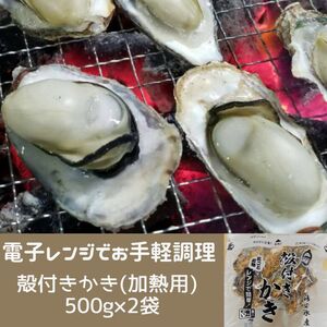 白方かき 電子レンジでお手軽調理 殻付きかき(加熱用) 500g×2袋[令和7年1月頃から4月頃までの期間限定出荷][L-31]