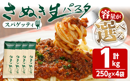 [新登場]さぬき生パスタ (スパゲッティ) (1kg) 生パスタ パスタ スパゲッティ スパゲティ デュラムセモリナ アルデンテ コシ もちもち さぬき 香川県 半生 小麦 麺 小分け 常温 常温保存 [man192・man193・194][こんぴらや販売]