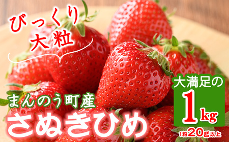 [先行予約!2025年3月下旬以降順次発送予定]大粒!香川県産 さぬきひめいちご(約1kg・1粒20g以上) まんのう町 特産品 香川県 生もの 国産 果物 くだもの 苺 イチゴ フルーツ 産地直送 新鮮 冷蔵便 [man104・man105][Aglio nero]