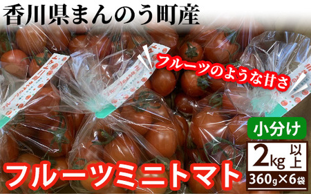 ԌI2025N6{ȍ~\聄t[c~jg}g(360g×6܁E2.16kg)  Y  g}g ~jg}g t[cg}g  T_ ٓ x Yn VN ① Vo