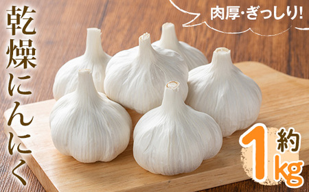 [先行予約!2026年6月中旬以降順次発送予定]乾燥にんにく(約1kg) 国産 乾燥ニンニク 産地直送 新登場 [man232][Aglio nero]