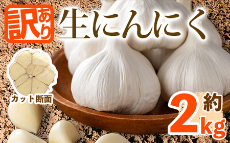 [先行予約!2026年5月上旬以降順次発送予定][訳あり・家庭用]香川県産 生にんにく(約2kg) 国産 野菜 生ニンニク 産地直送 [man068][Aglio nero]