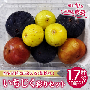 [先行予約!2026年8月下旬以降順次発送予定]様々な品種のいちじく詰め合わせセット(約425g×4P・約1.7kg) 国産 フルーツ イチジク 小分け 食べ比べ [man369][はざま篠原農産合同会社]